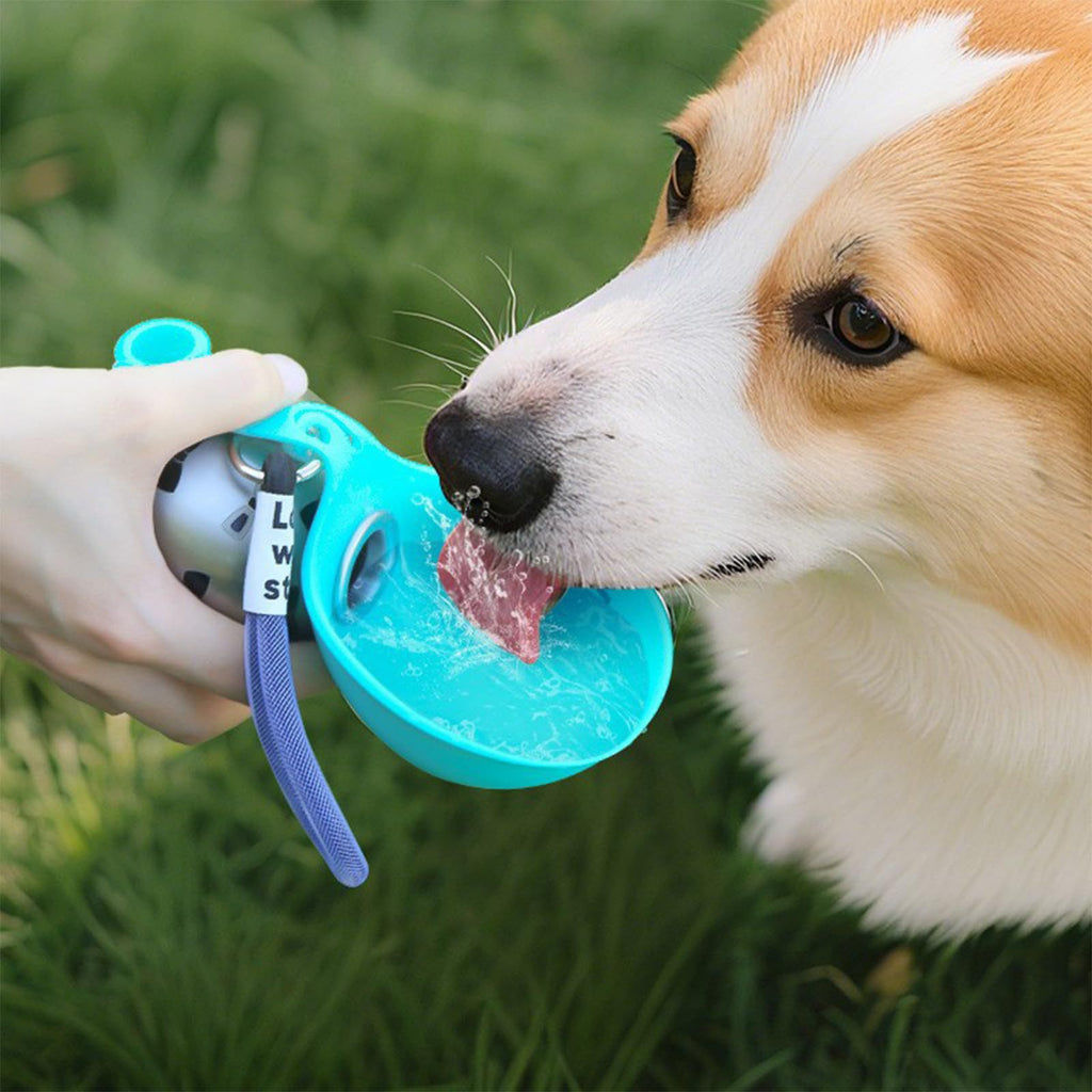 Silicone Water Bottle