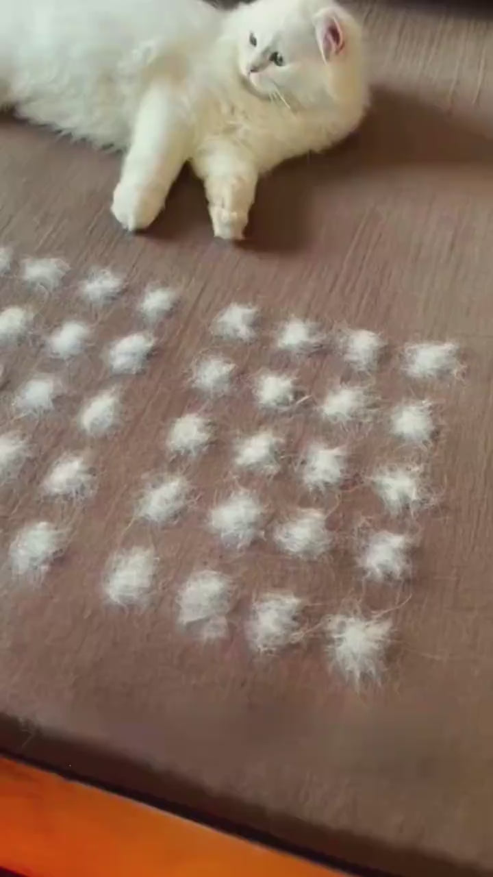 Pet Hair Cleaner Electrostatic Hair Removal