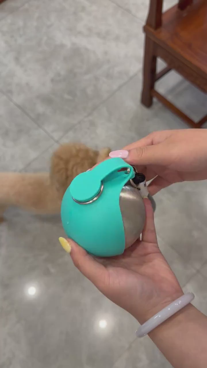 Silicone Water Bottle